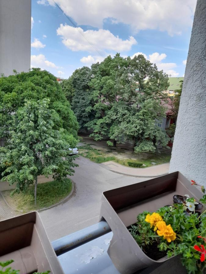 Apartman Aurora Novi Sad Exterior photo